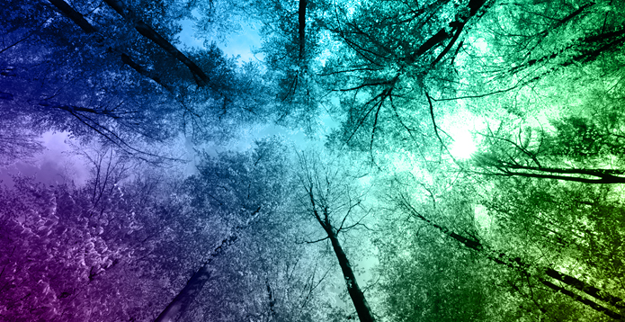 Committed to tackling climate change 