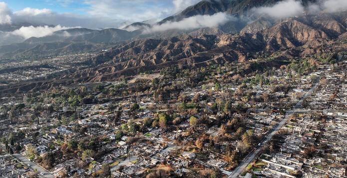 California wildfires aftermath_Digital - Website - Standard ImageCard