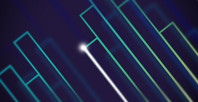 Debt Capital Markets