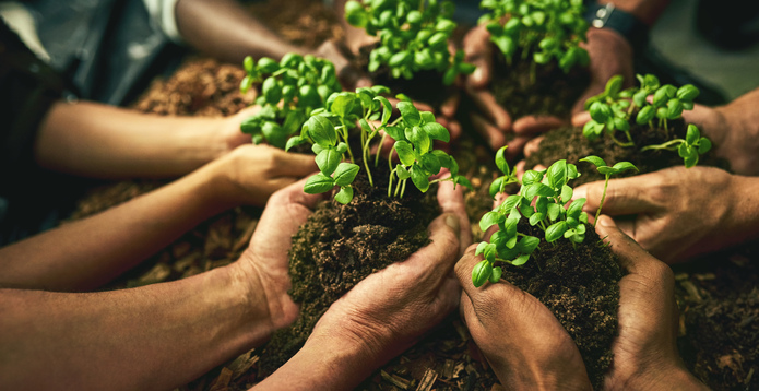 people holding plants in soil card