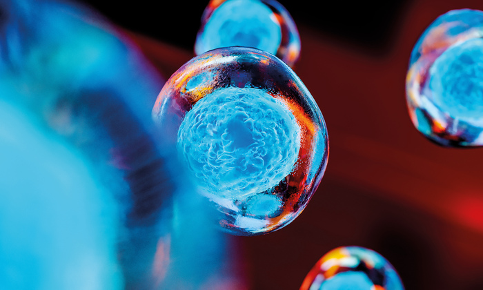 Cell therapy pull out