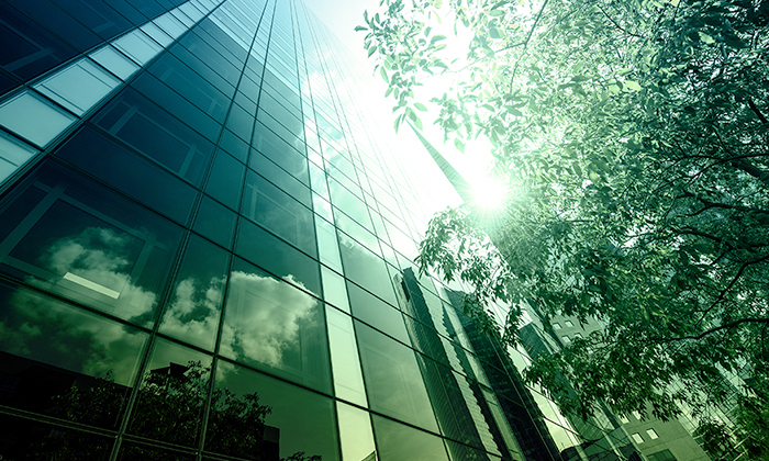 RE_NZ_ART8_pullout_700x420px_V1