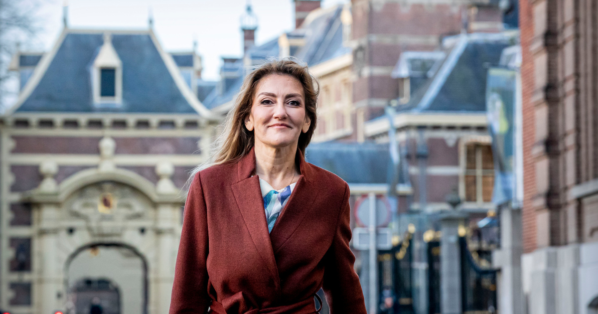 Dutch justice minister Dilan Yesilgoz SEO