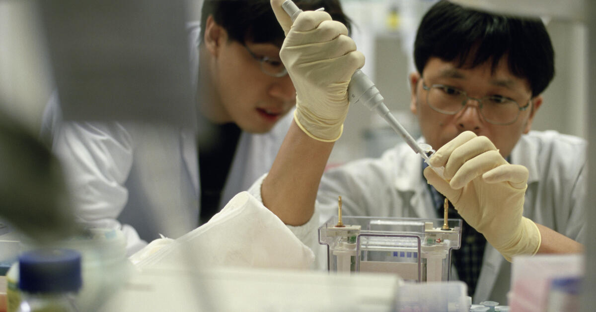 GettyImages-521924820_Digital - SEOSocialEditorial image