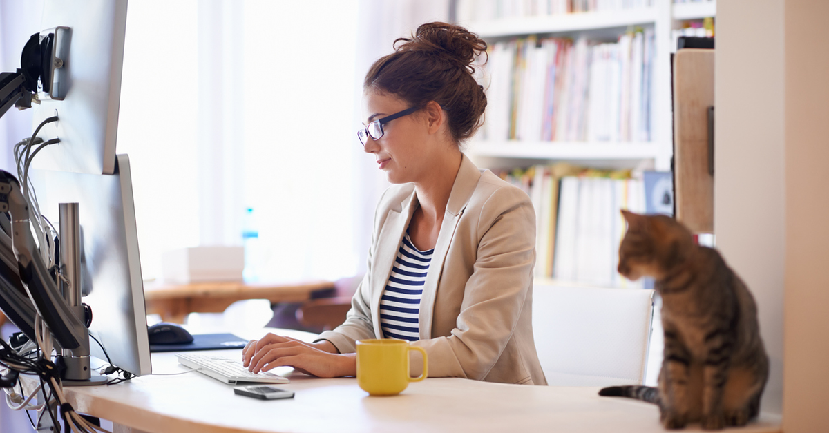 Home working with cat