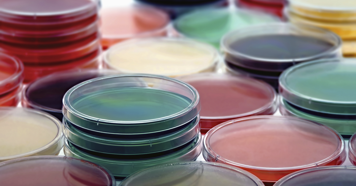 Petri Plates Collection