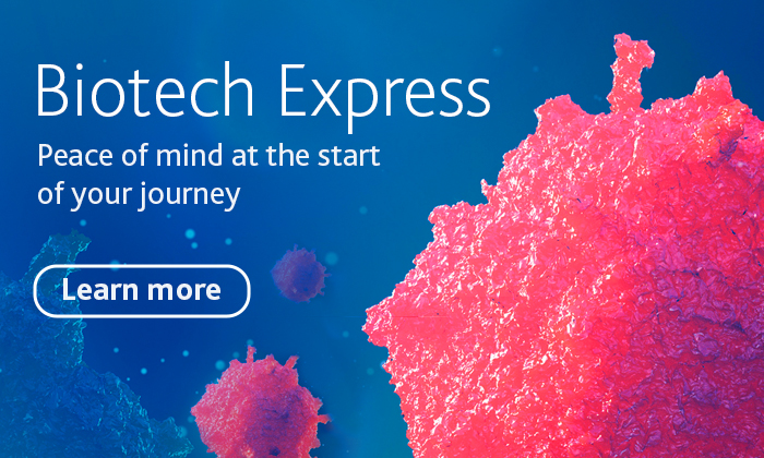 Pull-out image 700 x 420