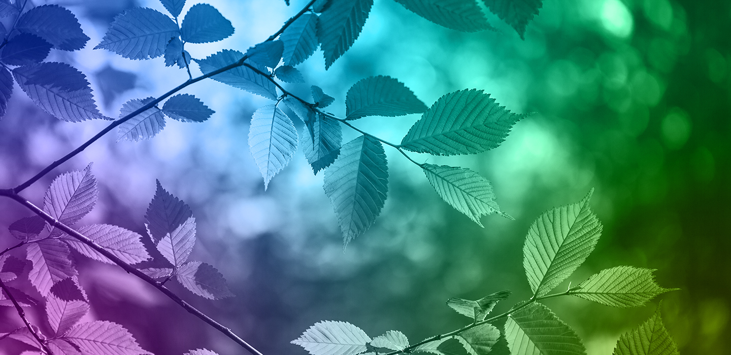 1370225_1_Desktop Hero 1440x700_2_6316717