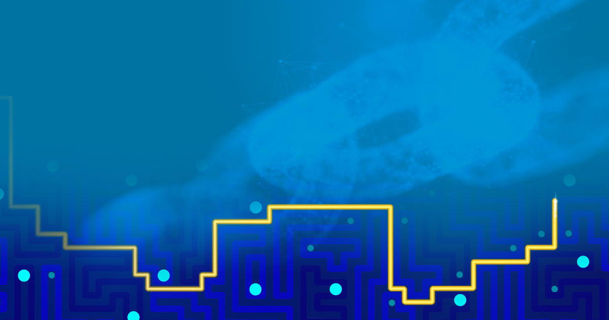 429715 General Chain Modern Slavery SEO